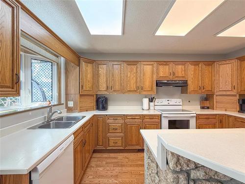 138 Lynx Crescent, Brandon, MB - Indoor Photo Showing Kitchen With Double Sink