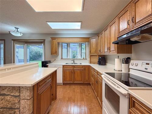 138 Lynx Crescent, Brandon, MB - Indoor Photo Showing Kitchen With Double Sink
