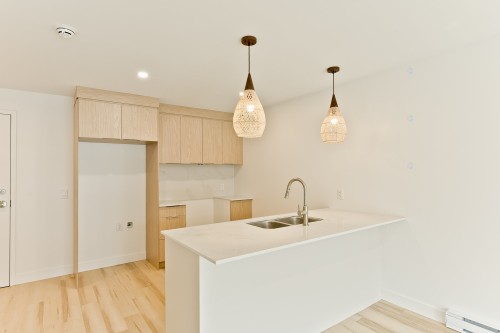 Kitchen - 107-602 Allée Gérard-Laurendeau, Magog, QC - Indoor Photo Showing Kitchen With Double Sink