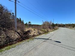 19-21 Lawrence Lane  Pouch Cove, NL A0A 3L0