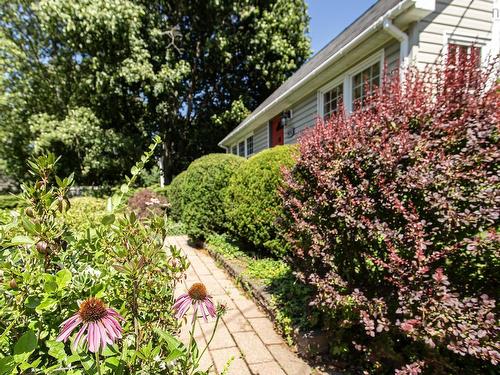 480 Main Street, Middleton, NS - Outdoor