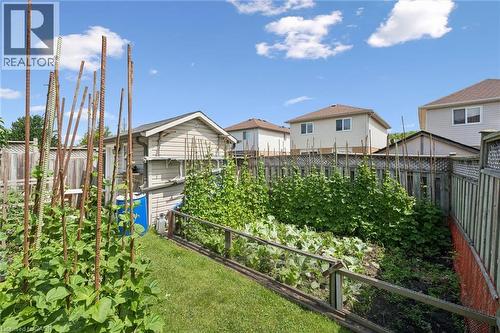 Expansive backyard oasis featuring a lush, manicured lawn, established vegetable garden with sturdy wooden trellises and raised planting beds, mature hedging for privacy, and metal fencing - 86 Bridlewreath Street, Kitchener, ON - Outdoor