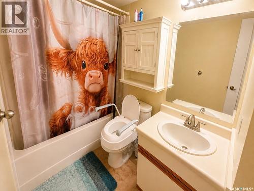 216 3420 Park Street, Regina, SK - Indoor Photo Showing Bathroom