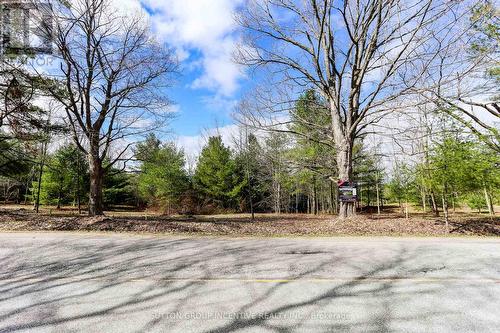 2790 Old Second Road S, Springwater, ON 