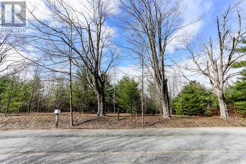 2790 Old Second Road S, Springwater, ON 