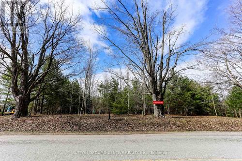 2790 Old Second Road S, Springwater, ON 