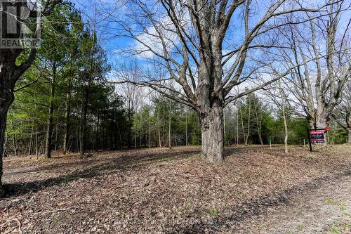 2790 Old Second Road S, Springwater, ON 