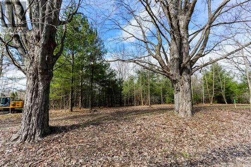 2790 Old Second Road S, Springwater, ON 