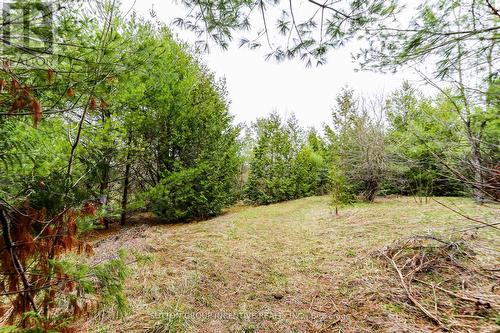 2790 Old Second Road S, Springwater, ON 