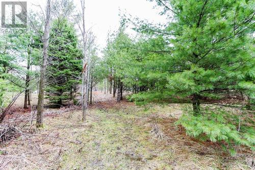 2790 Old Second Road S, Springwater, ON 