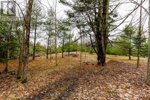 2790 Old Second Road S, Springwater, ON 