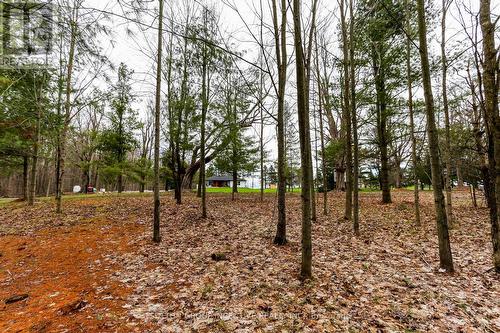 2790 Old Second Road S, Springwater, ON 
