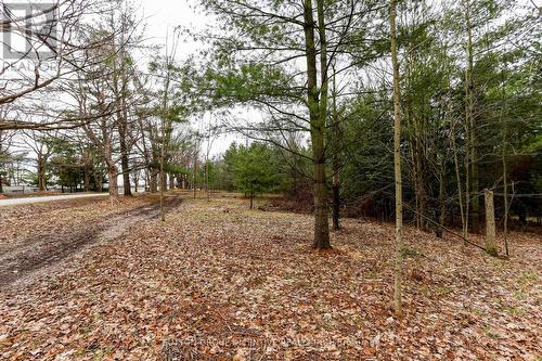 2790 Old Second Road S, Springwater, ON 