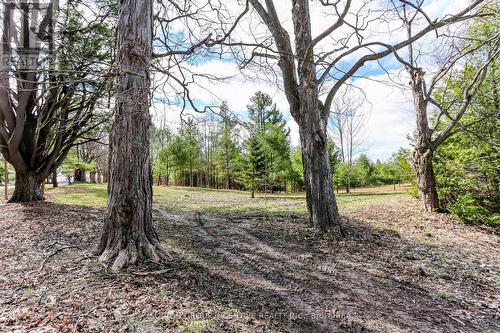 2790 Old Second Road S, Springwater, ON 