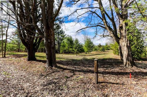 2790 Old Second Road S, Springwater, ON 