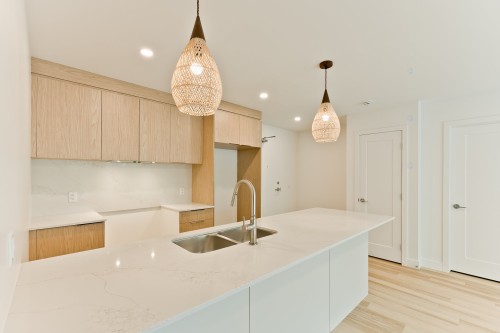 Kitchen - 103-602 Allée Gérard-Laurendeau, Magog, QC - Indoor Photo Showing Kitchen With Double Sink