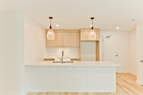 Kitchen - 103-602 Allée Gérard-Laurendeau, Magog, QC - Indoor Photo Showing Kitchen With Double Sink