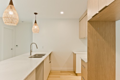 Kitchen - 103-602 Allée Gérard-Laurendeau, Magog, QC - Indoor Photo Showing Kitchen With Double Sink