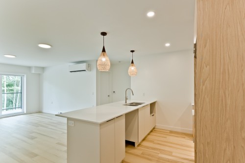Kitchen - 103-602 Allée Gérard-Laurendeau, Magog, QC - Indoor Photo Showing Kitchen With Double Sink