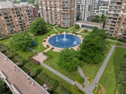 Garden - 