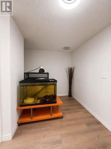 251 Clark Avenue, Kitchener, ON - Indoor Photo Showing Other Room