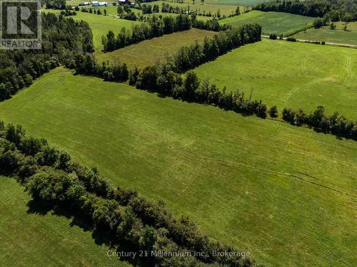 702174 Sideroad 5, Chatsworth, ON 