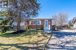 LOWER - 59 EDWINA COURT Hamilton, ON L8V 4M2