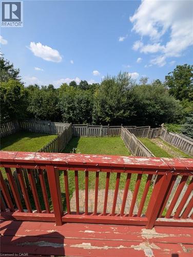 Expansive backyard oasis featuring a manicured lawn, mature tree-lined perimeter, and a red-stained wood deck with vertical railings - 466 Bankside Drive, Kitchener, ON - Outdoor