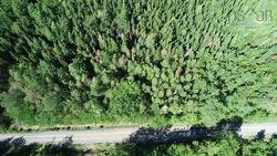 LOT 1 Wilson Road Upper Rawdon, NS B0N 2N0