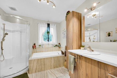 Salle de bains - 110 Rue Philipon, Saint-Calixte, QC - Indoor Photo Showing Bathroom
