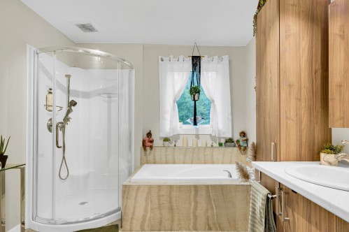 Salle de bains - 110 Rue Philipon, Saint-Calixte, QC - Indoor Photo Showing Bathroom