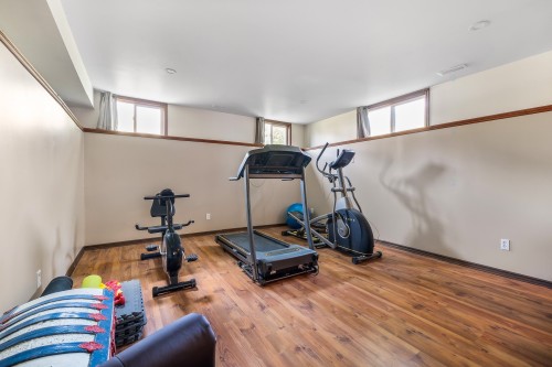 Sous-sol - 196 Rue Argyle, Shawville, QC - Indoor Photo Showing Gym Room