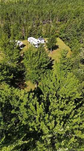 93 Poirier St, Grande-Digue, NB - Outdoor