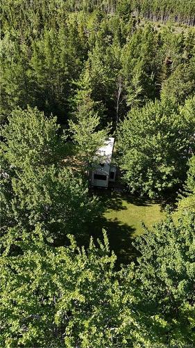 93 Poirier St, Grande-Digue, NB - Outdoor