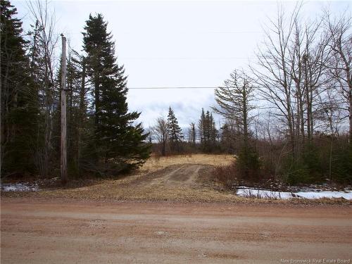 Lot Moore Rd, Port Elgin, NB 