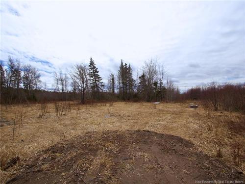 Lot Moore Rd, Port Elgin, NB 