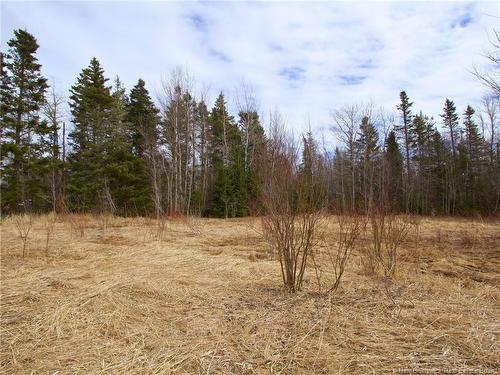 Lot Moore Rd, Port Elgin, NB 