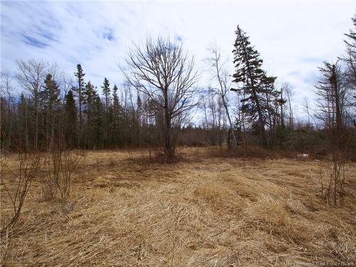 Lot Moore Rd, Port Elgin, NB 