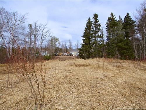 Lot Moore Rd, Port Elgin, NB 