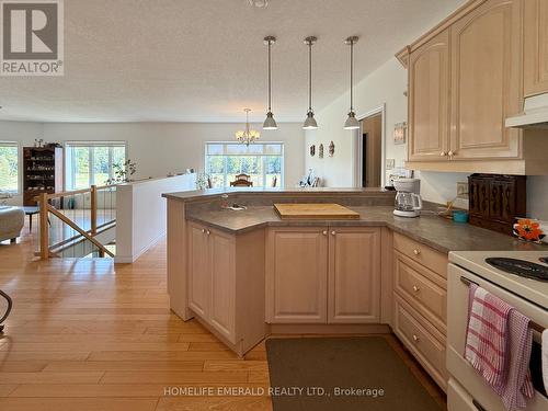 3175 3/4 Concession, Clearview, ON - Indoor Photo Showing Kitchen