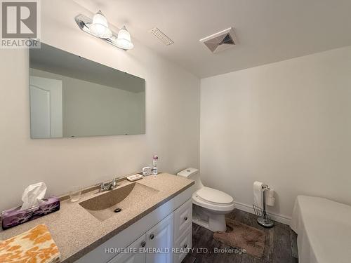 3175 3/4 Concession, Clearview, ON - Indoor Photo Showing Bathroom