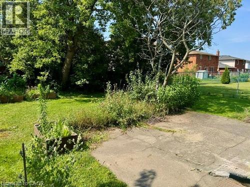 Expansive outdoor space featuring a concrete pad, mature trees, and raised garden beds - 342 Barton Street, Hamilton, ON - Outdoor