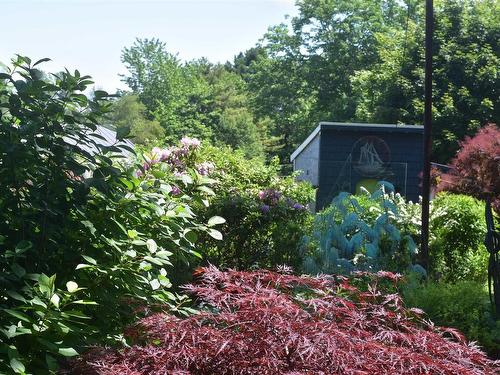 1359 Highway 332, First South, NS - Outdoor