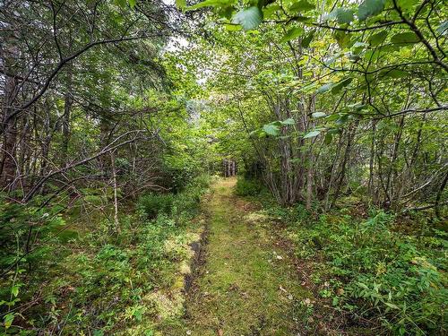 70 Hurricane Lane, Eastern Passage, NS - Outdoor