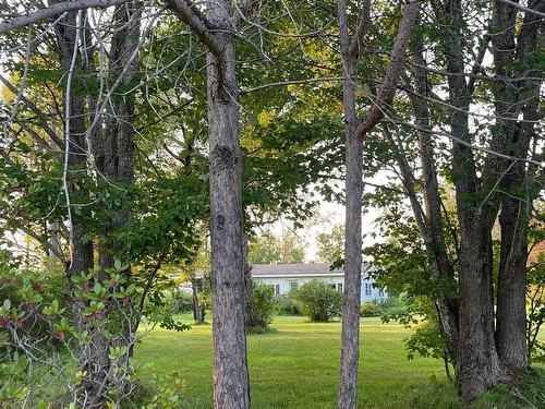 4467 Shore Road, Lismore, NS 
