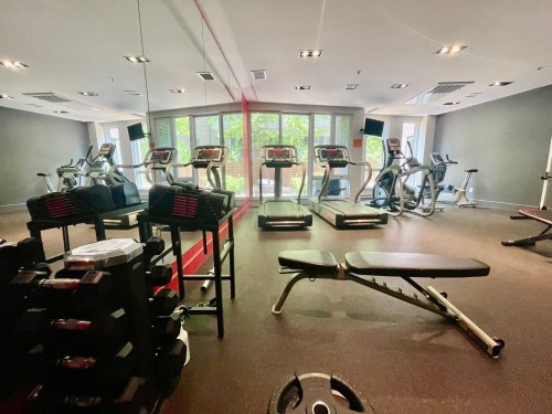 Exercise Room - 412-3300 Av. Troie, Montréal (Côte-Des-Neiges/Notre-Dame-De-Grâce), QC - Indoor Photo Showing Gym Room