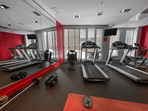 Exercise Room - 412-3300 Av. Troie, Montréal (Côte-Des-Neiges/Notre-Dame-De-Grâce), QC - Indoor Photo Showing Gym Room