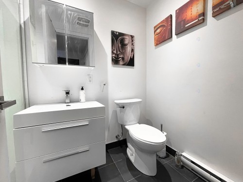 Bathroom - 412-3300 Av. Troie, Montréal (Côte-Des-Neiges/Notre-Dame-De-Grâce), QC - Indoor Photo Showing Bathroom