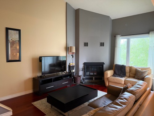Salon - D-301-261 Rue Merry S., Magog, QC - Indoor Photo Showing Living Room