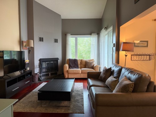 Salon - D-301-261 Rue Merry S., Magog, QC - Indoor Photo Showing Living Room
